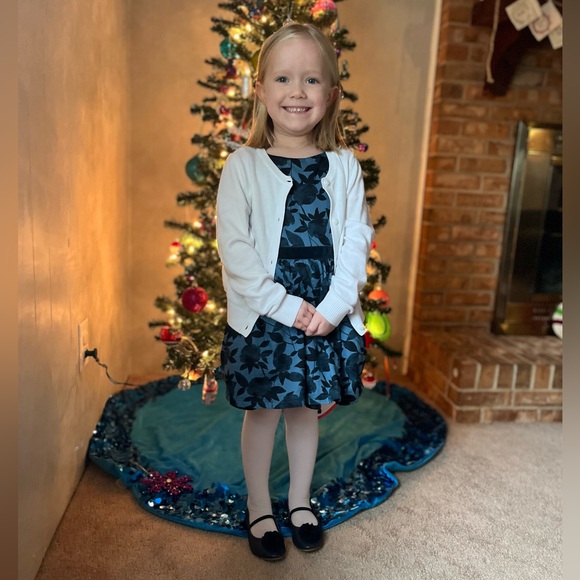 Blue Carter’s Toddler Girl's Sleeveless Holiday Dress Size 4T - Picture 8 of 8